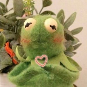 Meet your Posher, Aly